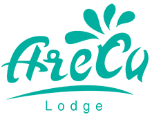 Areca Lodge Pattaya 
