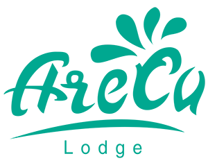 Areca Lodge Pattaya